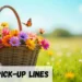 Basket Pick Up Line