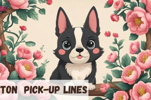 Boston Pickup Lines