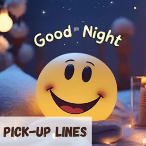 Good Night Pickup Line