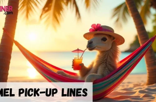 Camel Pickup Lines