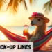 Camel Pickup Lines