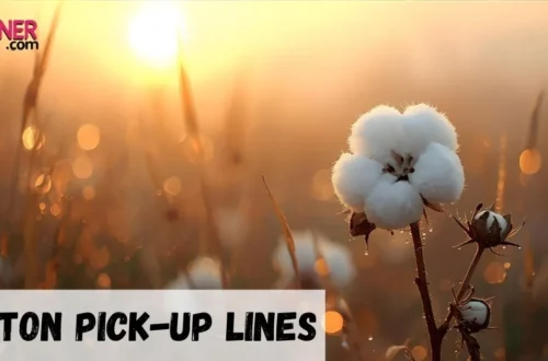 Cotton Pickup Line