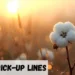 Cotton Pickup Line