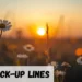 Daisy Pick Up Line