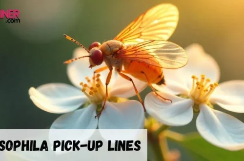 Drosophila Pickup Line
