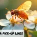 Drosophila Pickup Line