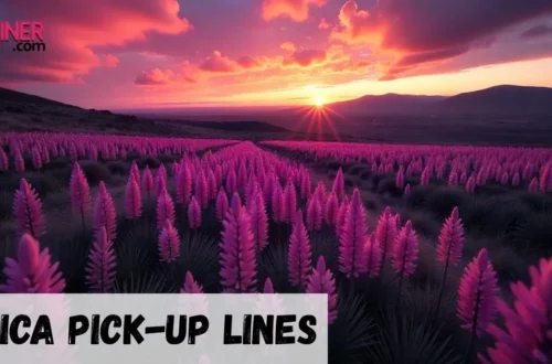 Erica Pickup Lines