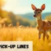 Fallow Pickup Lines