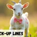 Goat Pickup Line
