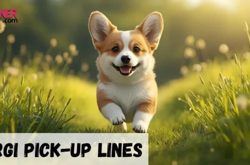 Corgi Pickup Line