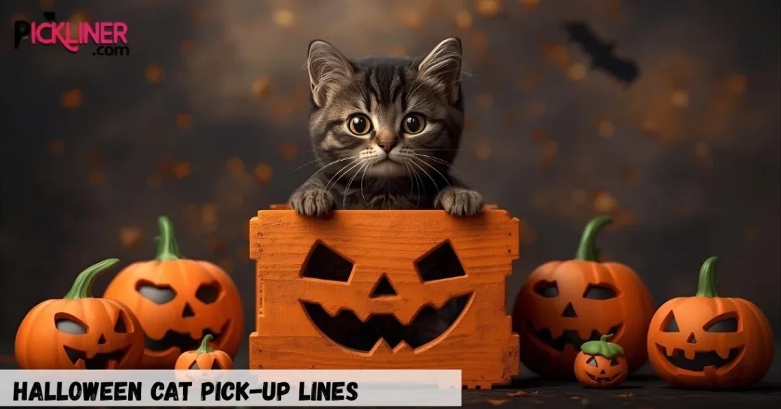 Halloween Cat Pick-Up Lines