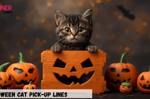 Halloween Cat Pick-Up Lines